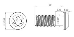 Винт пазовый TORX М12х30 UM.4.CN.2.1Y04.В61А.01